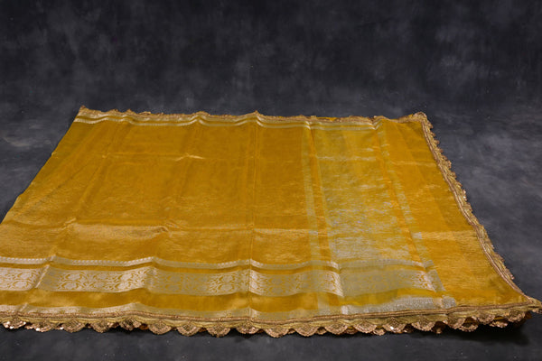 Tissue Silk Saree with Kanchi-Style Border and Lacework | JCSFashions