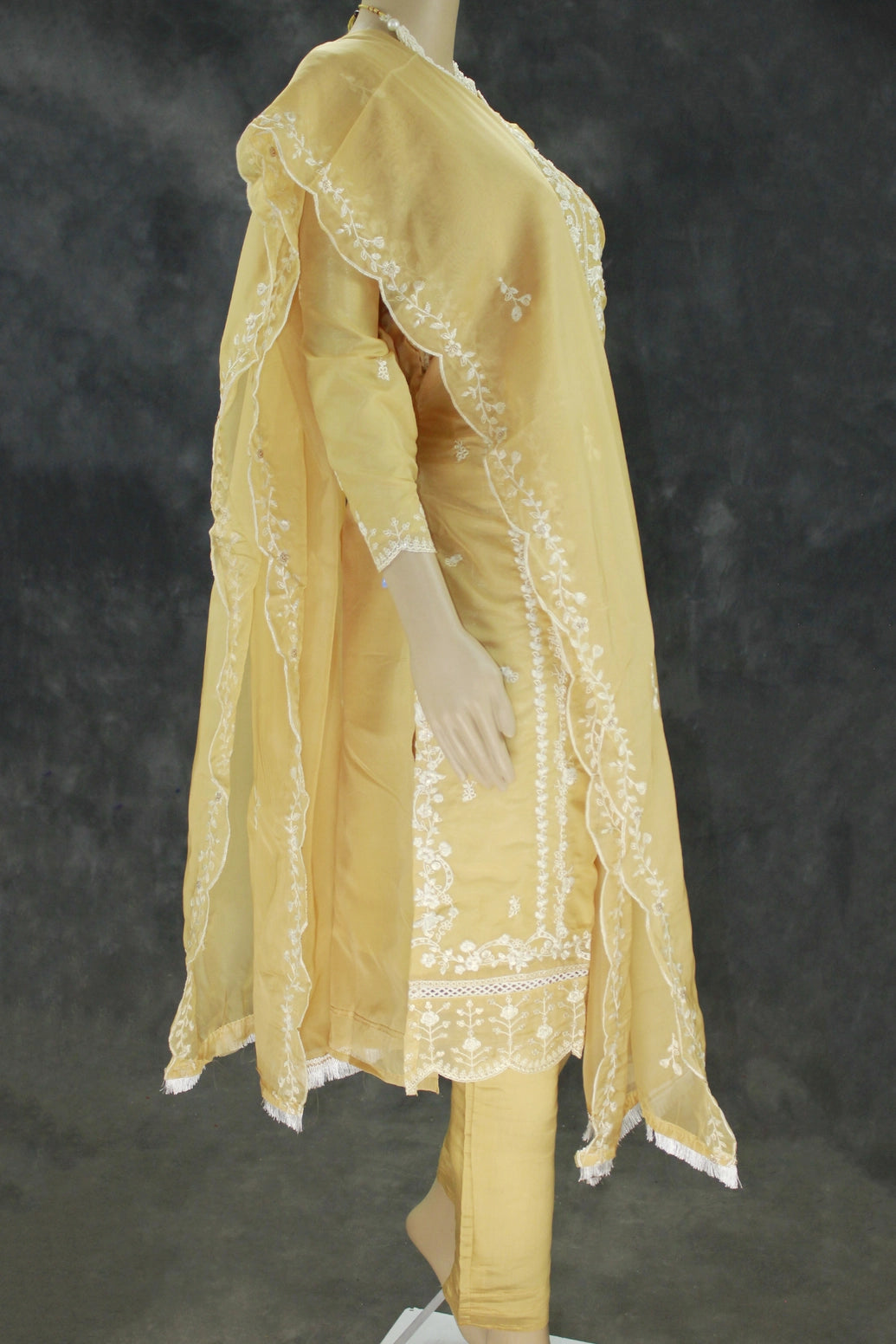 Light Beige Organza Kurti Salwar Suit Set with Khatli Work, Beads & Sequins, Roman Silk Bottom and Border Dupatta