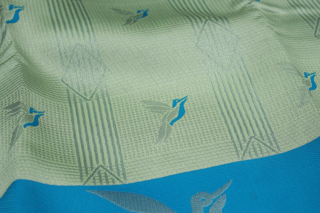 Pastel Blue Kubera Silk Saree with Kingfisher Pallu, Zari Border and Matching Blouse
