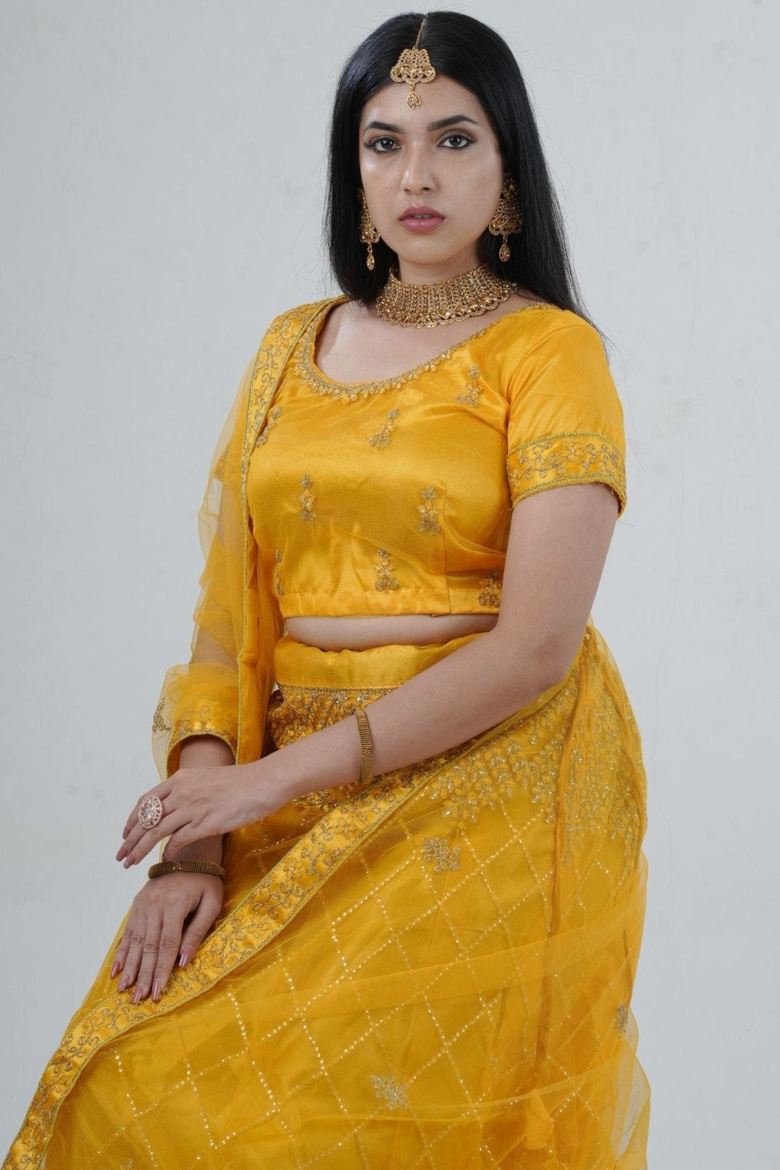 Elegant Designer Lehenga with Embroidery and Sparkling Sequins Detail LEHENGA JCS Fashions
