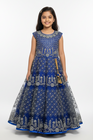 Blue Girls Party Net Frock with Embroidery & Stone