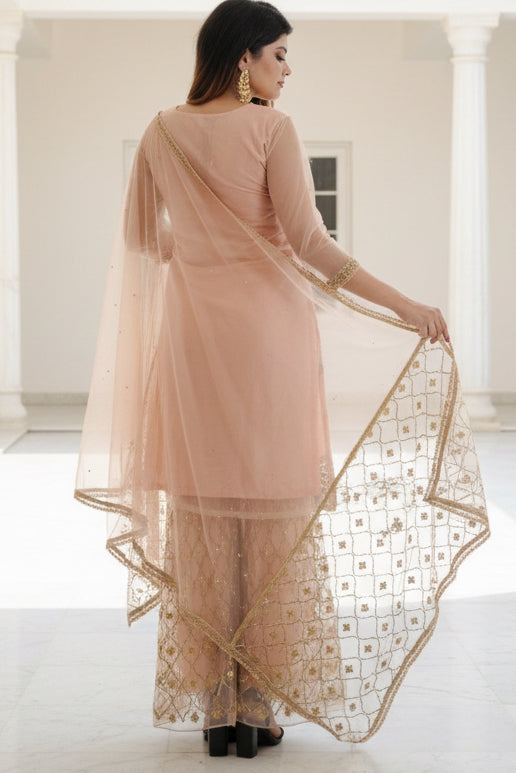 Ethnic Elegance: Soft Net Sharara - Perfect for Special Occasions KURTI JCS Fashions