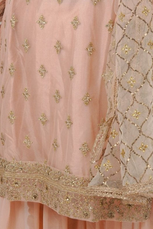 Plus Size: Ethnic Elegance: Soft Net Sharara in Peach KURTI JCS Fashions