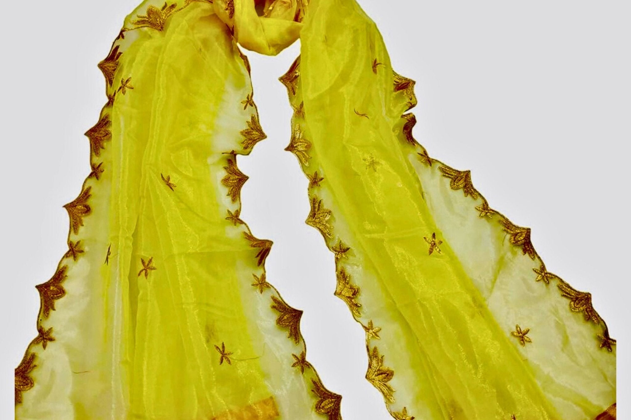 Premium Quality Embroidered Net Dupatta - For Graceful & Diverse Styling Dupatta JCS Fashions