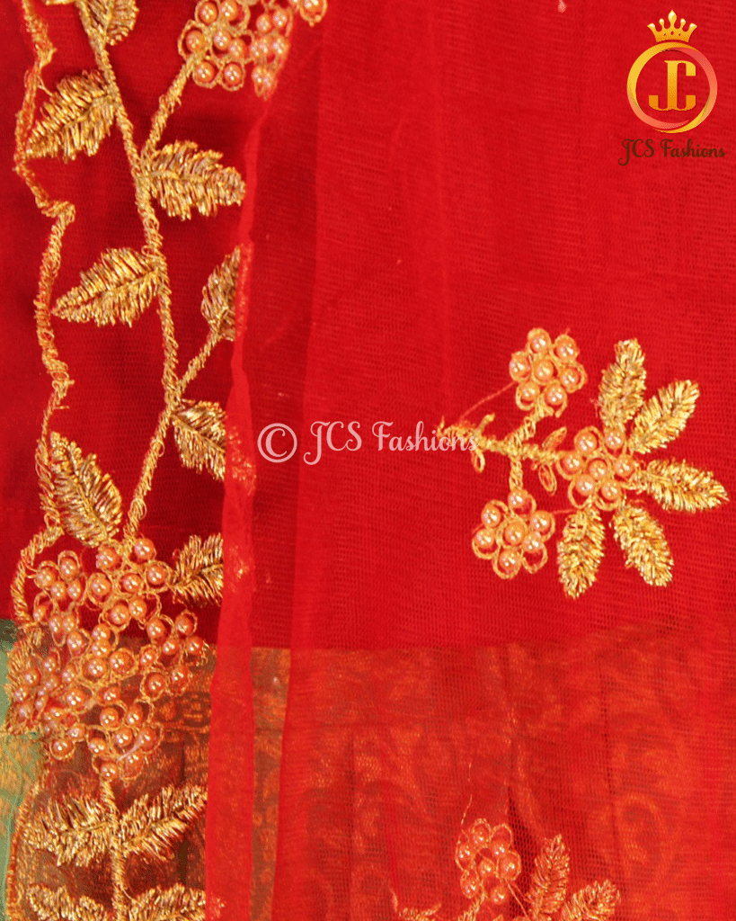 Banarasi Lehenga with Crop Top| Kanchipuram Border Lehenga JCS Fashions