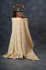 Opulent Chickenkari Georgette Saree with Stunning Zari Border Saree JCS Fashions