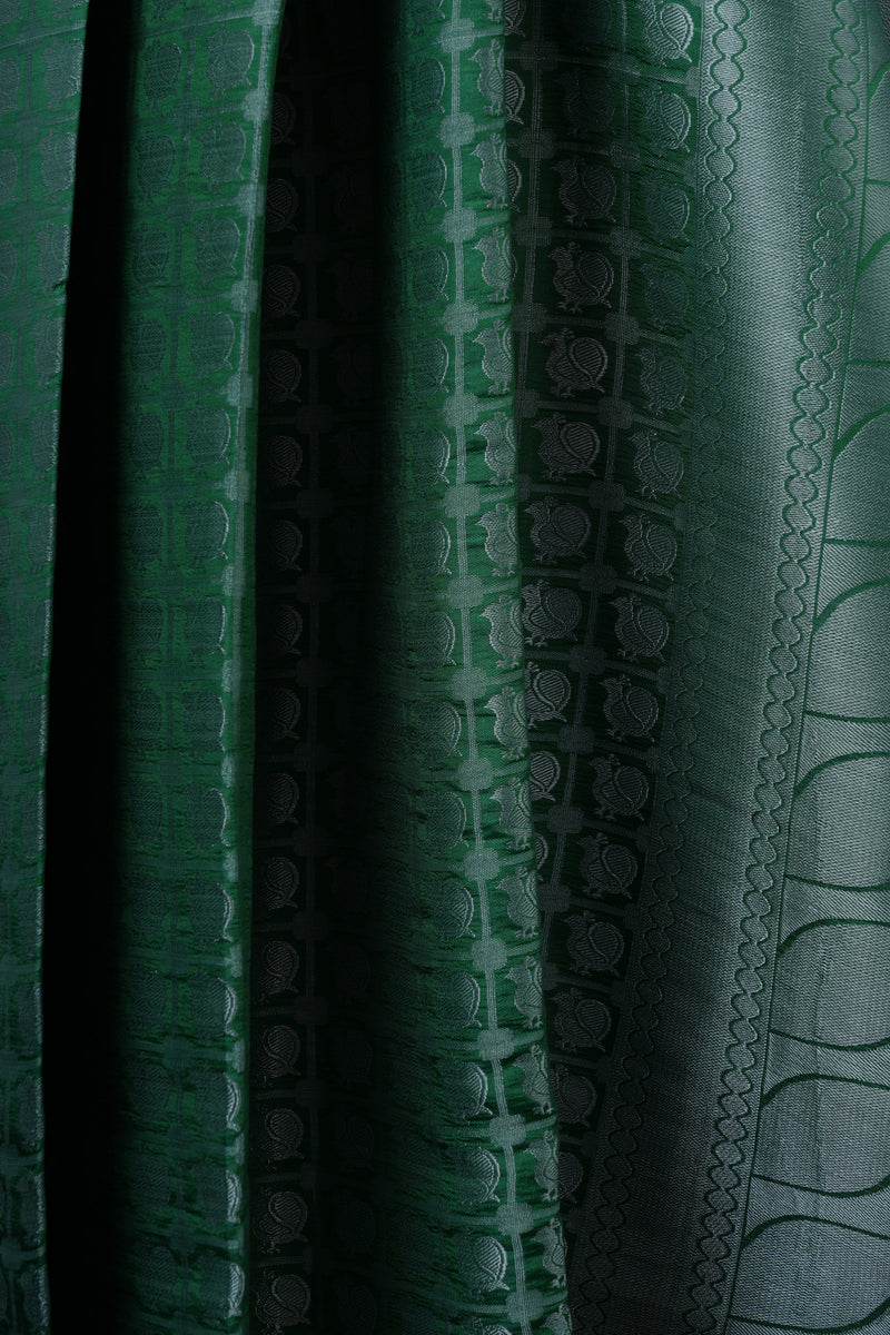 Luxurious Dupion Silk Saree with Silver Zari & Customizable Blouse