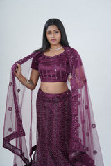 Stunning Net Lehenga Adorned with Stone and Mirror Detailing