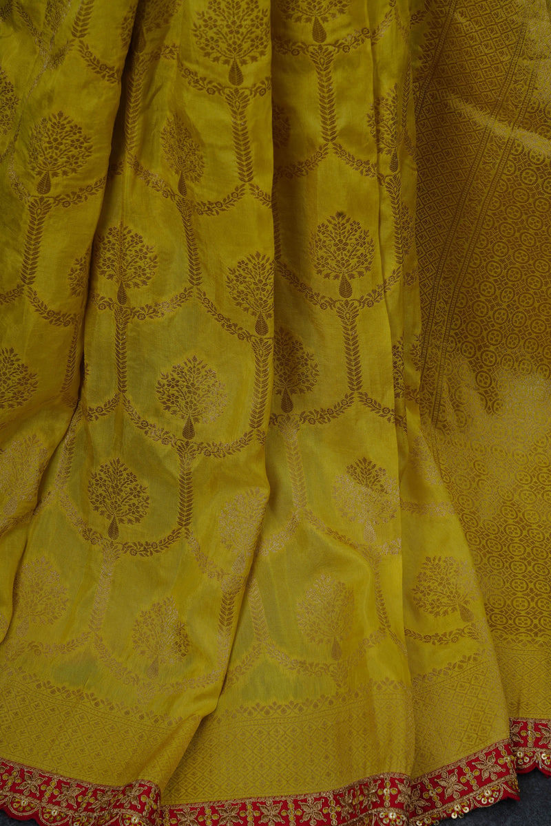Banarasi Pattu - Authentic Handcrafted Elegance with Zardosi Work