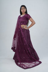 Stunning Net Lehenga Adorned with Stone and Mirror Detailing