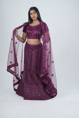 Stunning Net Lehenga Adorned with Stone and Mirror Detailing