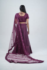Stunning Net Lehenga Adorned with Stone and Mirror Detailing