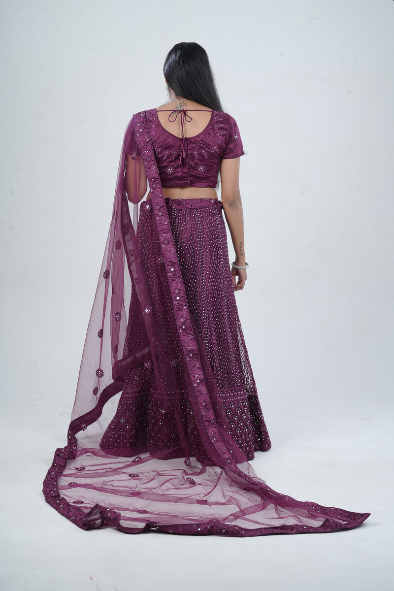 Stunning Net Lehenga Adorned with Stone and Mirror Detailing