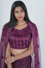 Stunning Net Lehenga Adorned with Stone and Mirror Detailing