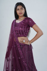 Stunning Net Lehenga Adorned with Stone and Mirror Detailing