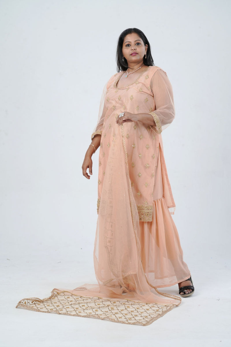 Plus Size: Ethnic Elegance: Soft Net Sharara in Peach