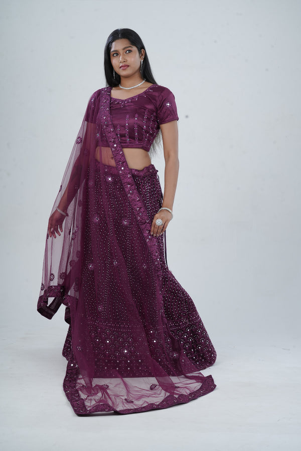 Stunning Net Lehenga Adorned with Stone and Mirror Detailing