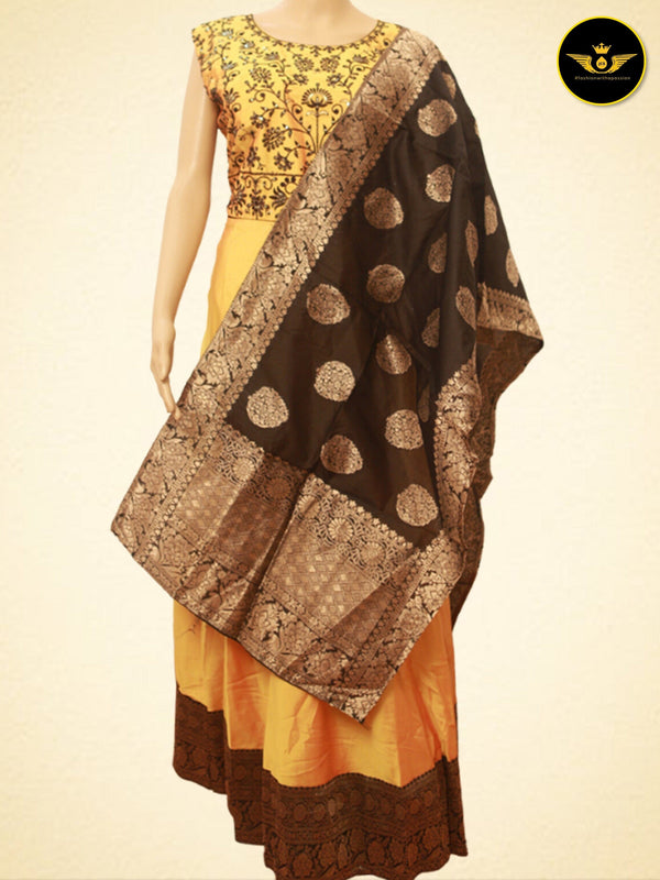 Indian Long Frock with Banarasi Dupatta.