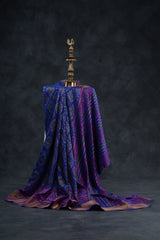 Elegant Ikkat Silk Saree with Stunning Aari-Work Blouse -Modern Wear