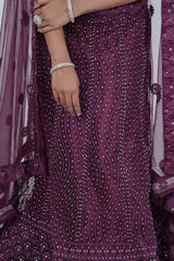 Stunning Net Lehenga Adorned with Stone and Mirror Detailing