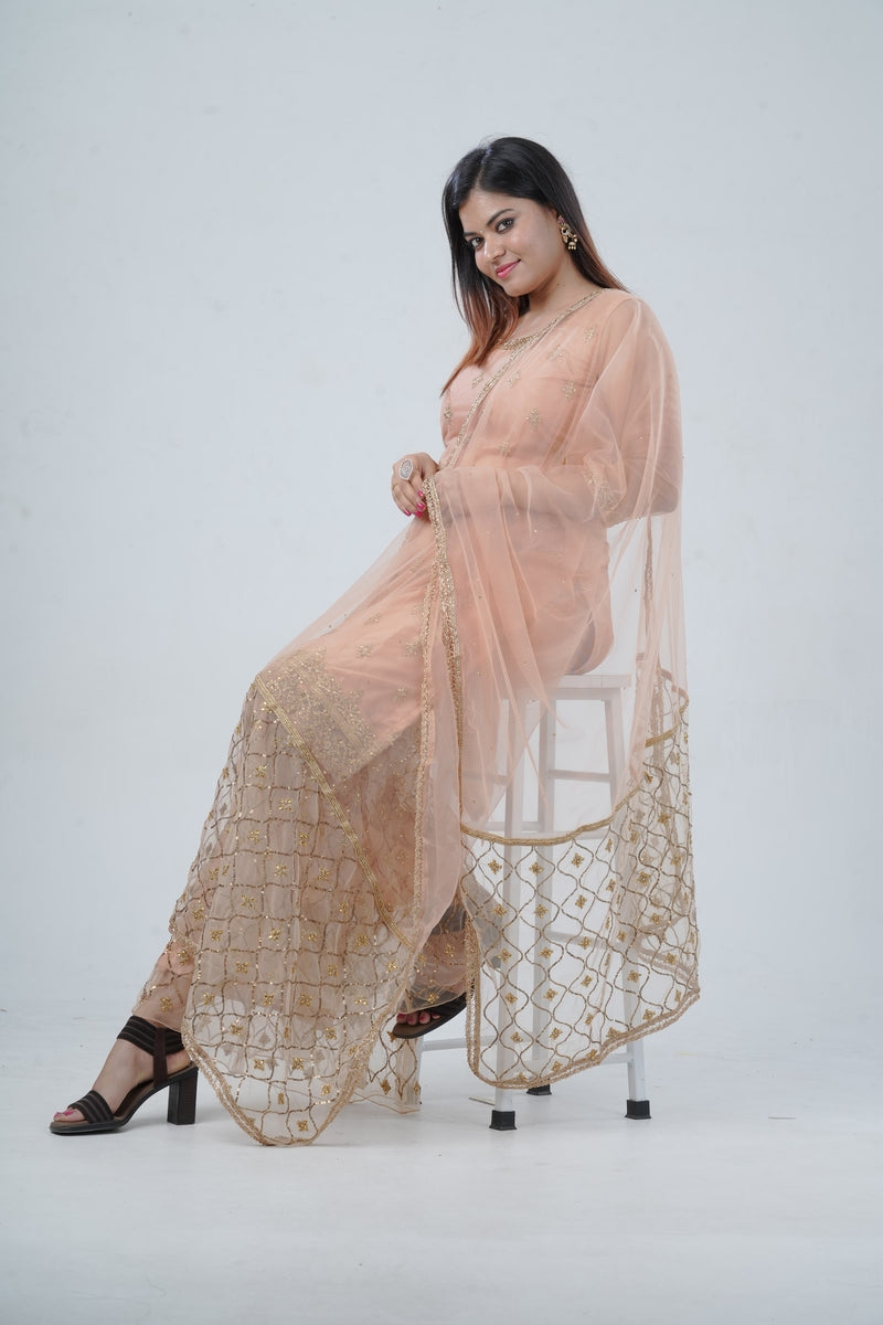 Ethnic Elegance: Soft Net Sharara - Perfect for Special Occasions