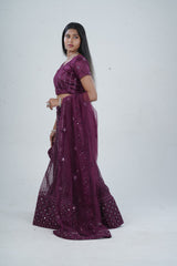 Stunning Net Lehenga Adorned with Stone and Mirror Detailing