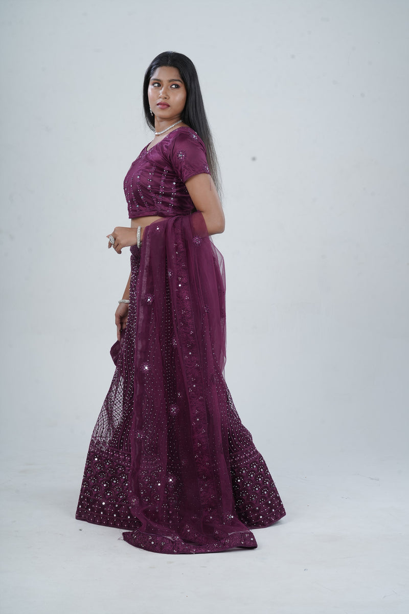 Stunning Net Lehenga Adorned with Stone and Mirror Detailing