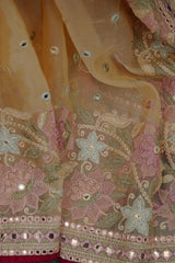 Exquisite Embroidered Organa Saree with Sparkling Foil Mirror Work