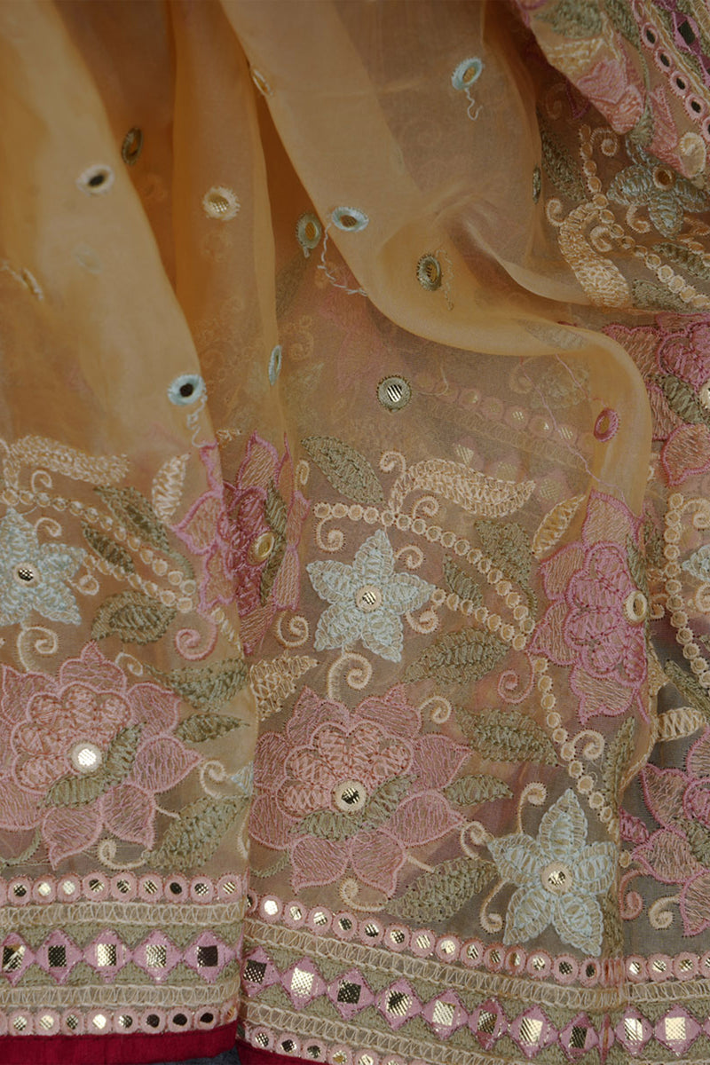 Exquisite Embroidered Organa Saree with Sparkling Foil Mirror Work