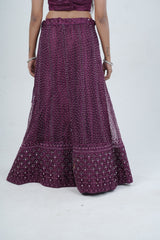Stunning Net Lehenga Adorned with Stone and Mirror Detailing