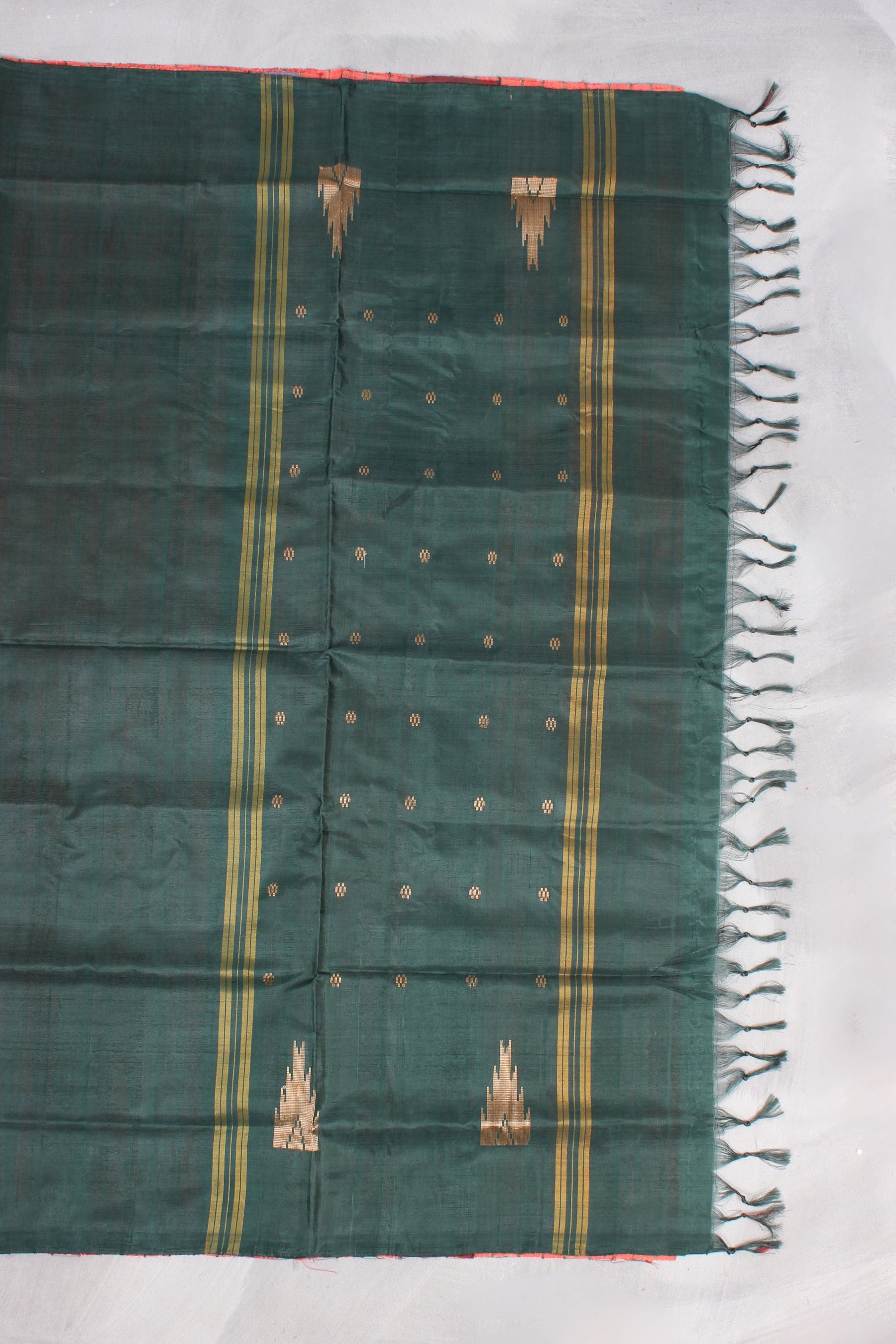 Eco-Chic Borderless Banana Pith Saree - Handcrafted Sustainable Elegance Saree JCS Fashions