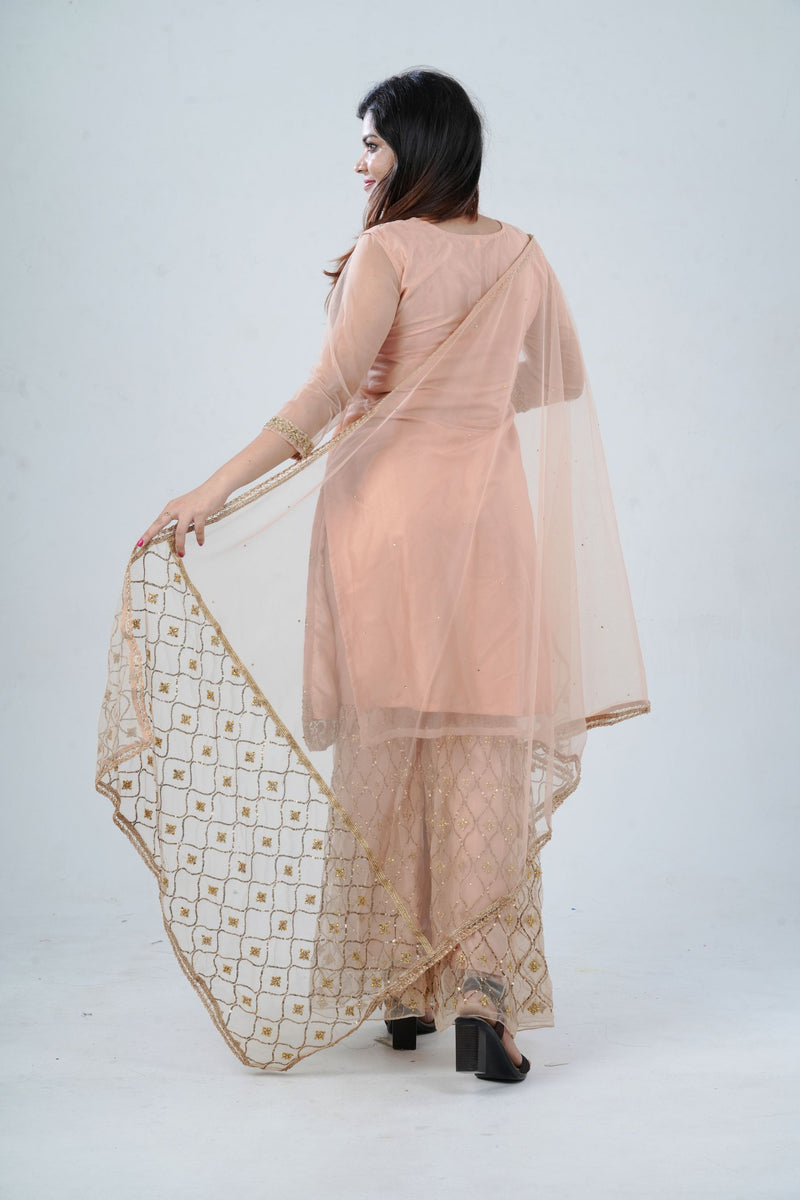 Ethnic Elegance: Soft Net Sharara - Perfect for Special Occasions
