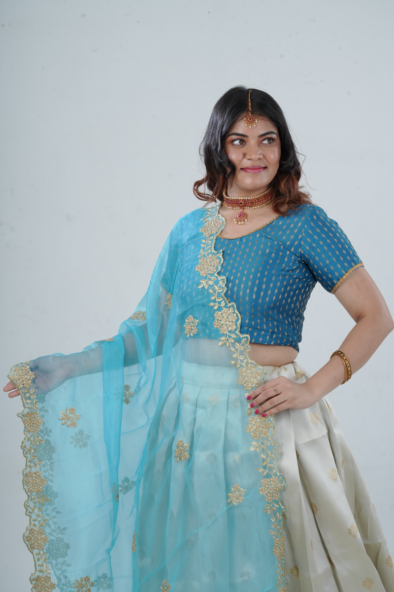 Luxurious Kanchipuram Silk Lehenga with Gleaming Zari Border