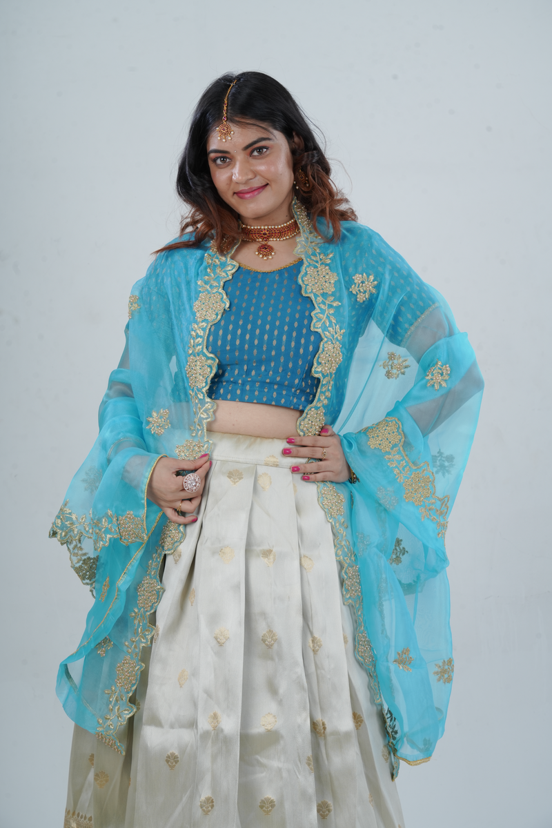 Luxurious Kanchipuram Silk Lehenga with Gleaming Zari Border