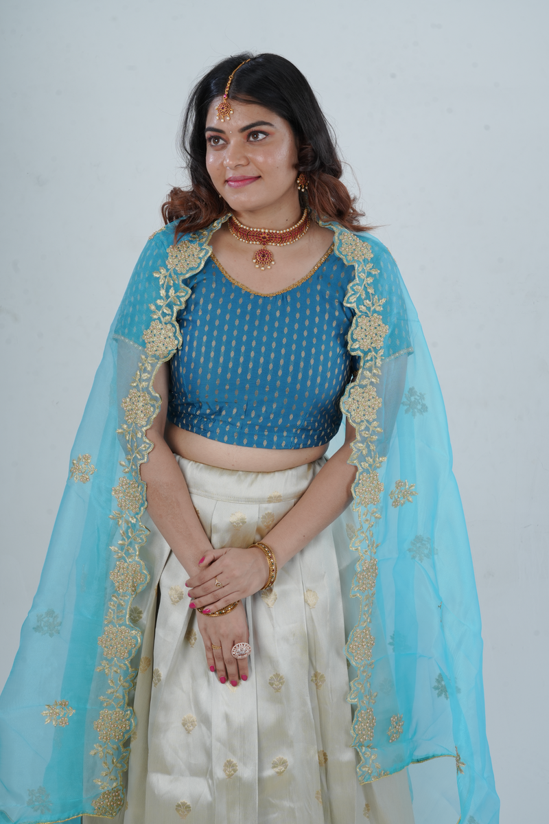 Luxurious Kanchipuram Silk Lehenga with Gleaming Zari Border