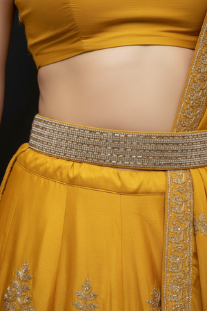 Gold-Tone Crystal Embellished Hip Belt for Saree & Lehenga – Adjustable Elastic Waist Belt