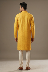 Men's Luxurious Lakhnavi Kurta - Elegant, Handcrafted Ethnic Ensemble - AI Model Photo 1