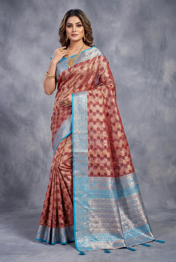 Designer Maroon Cotton Organza Saree with Floral Pallu and Stone Work