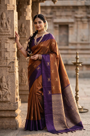 Lavender & Brown Soft Silk Saree with Contrast Border and Traditional Woven Motifs
