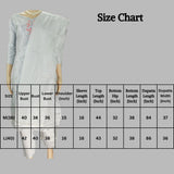 Gray Roman Silk 3-Piece Kurta Set with Organza Embroidered Top, Elastic Pants & Border Dupatta