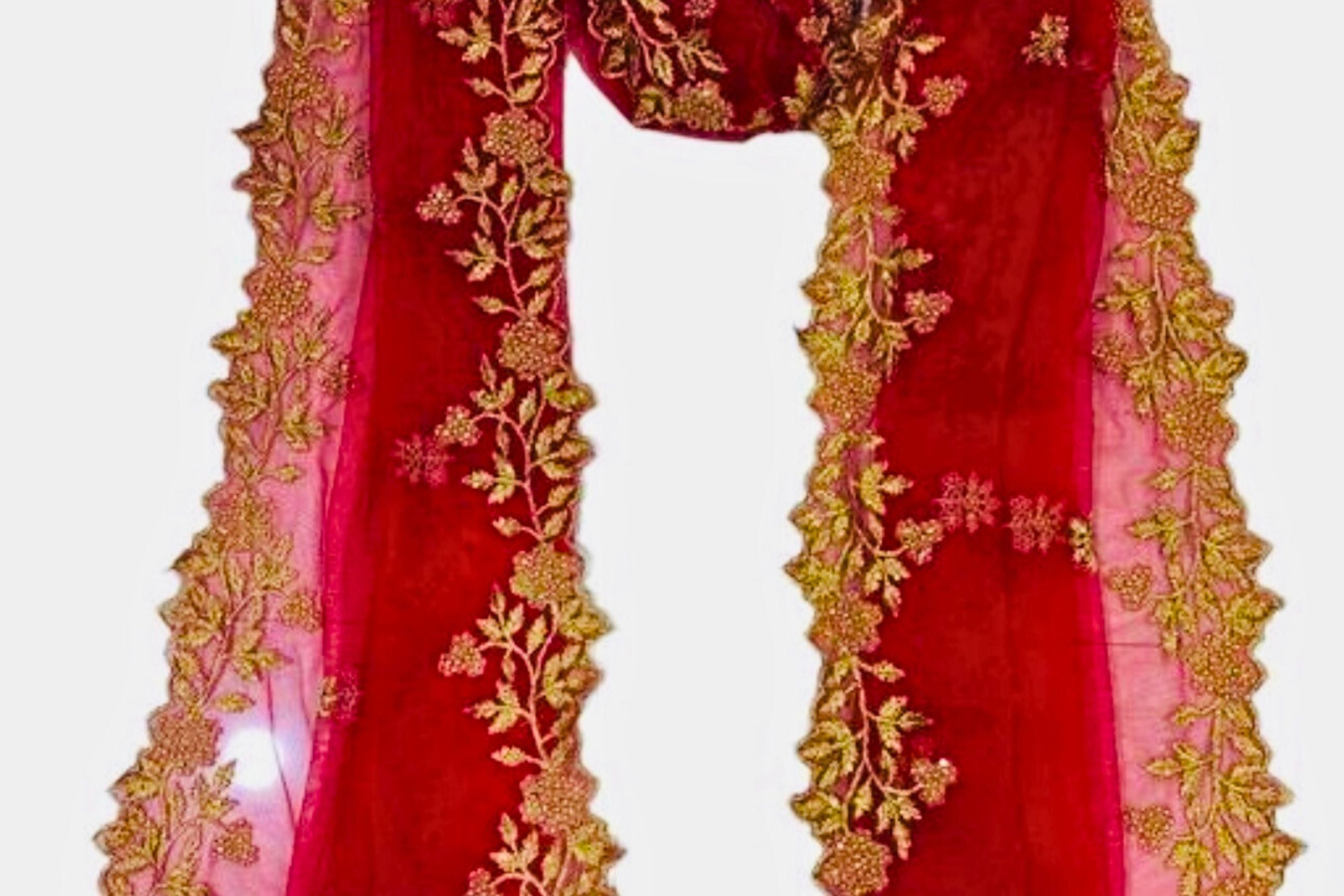 Luxurious Beadwork Cutwork Net Dupatta - Ethnic Elegance by JCSFashions Dupatta JCS Fashions