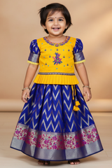 Banarasi Skirt Set with Zari Weaving and Rawsilk Embroidered