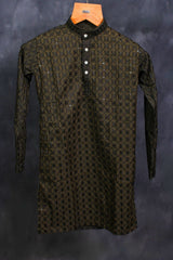 Boys' Elegant Lakhnavi Kurta: Traditional Embroidery Meets Modern Appeal BOYS JCS Fashions Mehendi Green 22