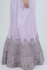 Designer Soft Net Lehenga Set with Exquisite Stone & Embroidery Detailing LEHENGA JCS Fashions