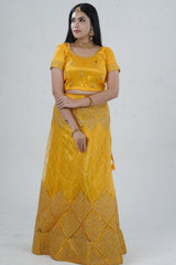 Elegant Designer Lehenga with Embroidery and Sparkling Sequins Detail LEHENGA JCS Fashions