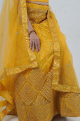 Elegant Designer Lehenga with Embroidery and Sparkling Sequins Detail LEHENGA JCS Fashions