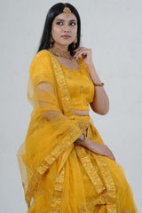 Elegant Designer Lehenga with Embroidery and Sparkling Sequins Detail LEHENGA JCS Fashions