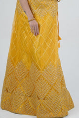 Elegant Designer Lehenga with Embroidery and Sparkling Sequins Detail LEHENGA JCS Fashions