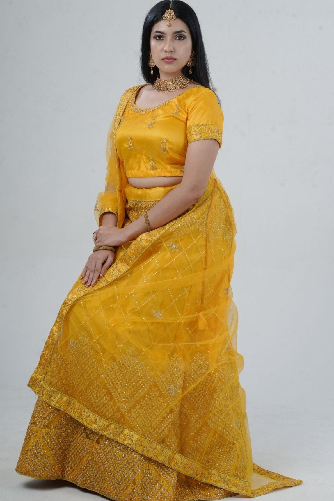 Elegant Designer Lehenga with Embroidery and Sparkling Sequins Detail LEHENGA JCS Fashions