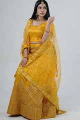 Elegant Designer Lehenga with Embroidery and Sparkling Sequins Detail LEHENGA JCS Fashions Mustard Yellow Large (40)